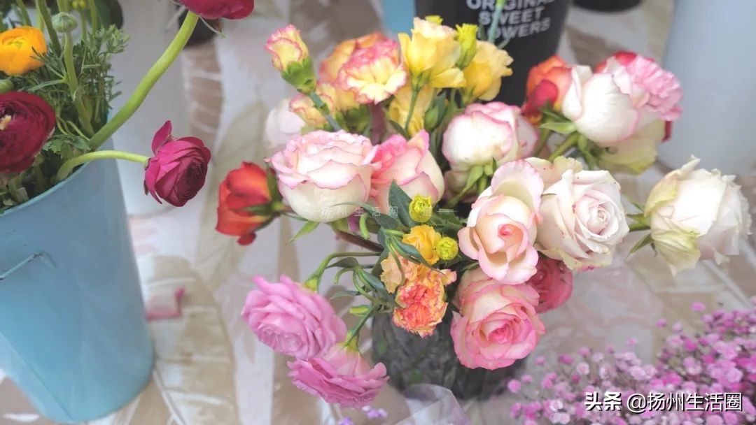 2元花盆批发清仓,2元花卉批发市场