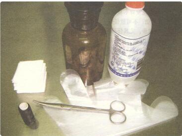 母狗生狗需要准备什么,母狗生小狗前准备