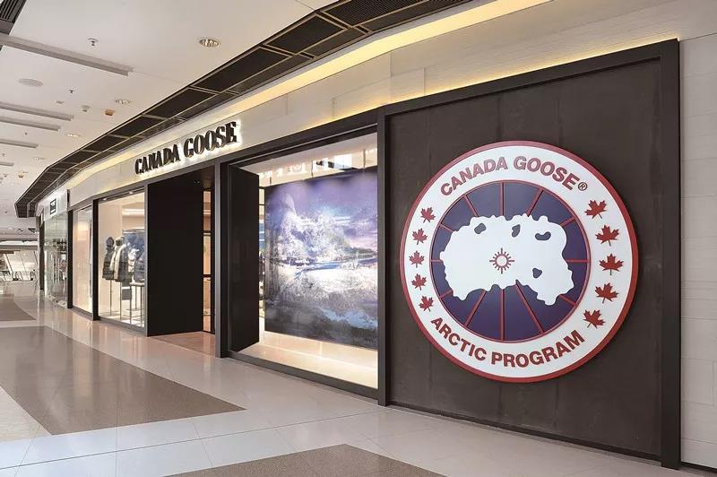 十件大鹅九件假四招教你辨真假,十件大鹅九件假是什么意思