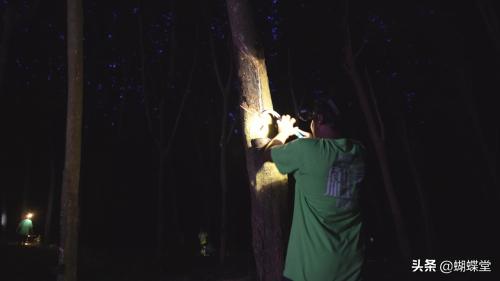 美佳美侬内衣测评,内衣第六代