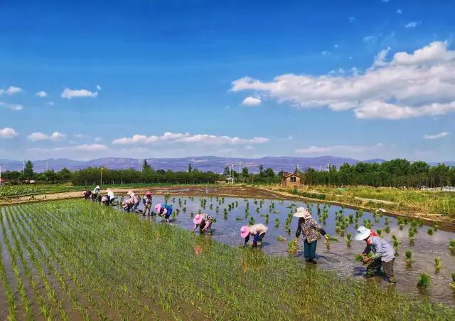 让农业真正回归照顾生命