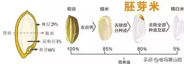 黑米怎么洗干净,黑米应该怎样洗才可以煮粥