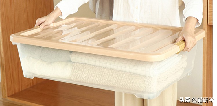 猫咪省钱好物维生素,猫咪必买的10种单品