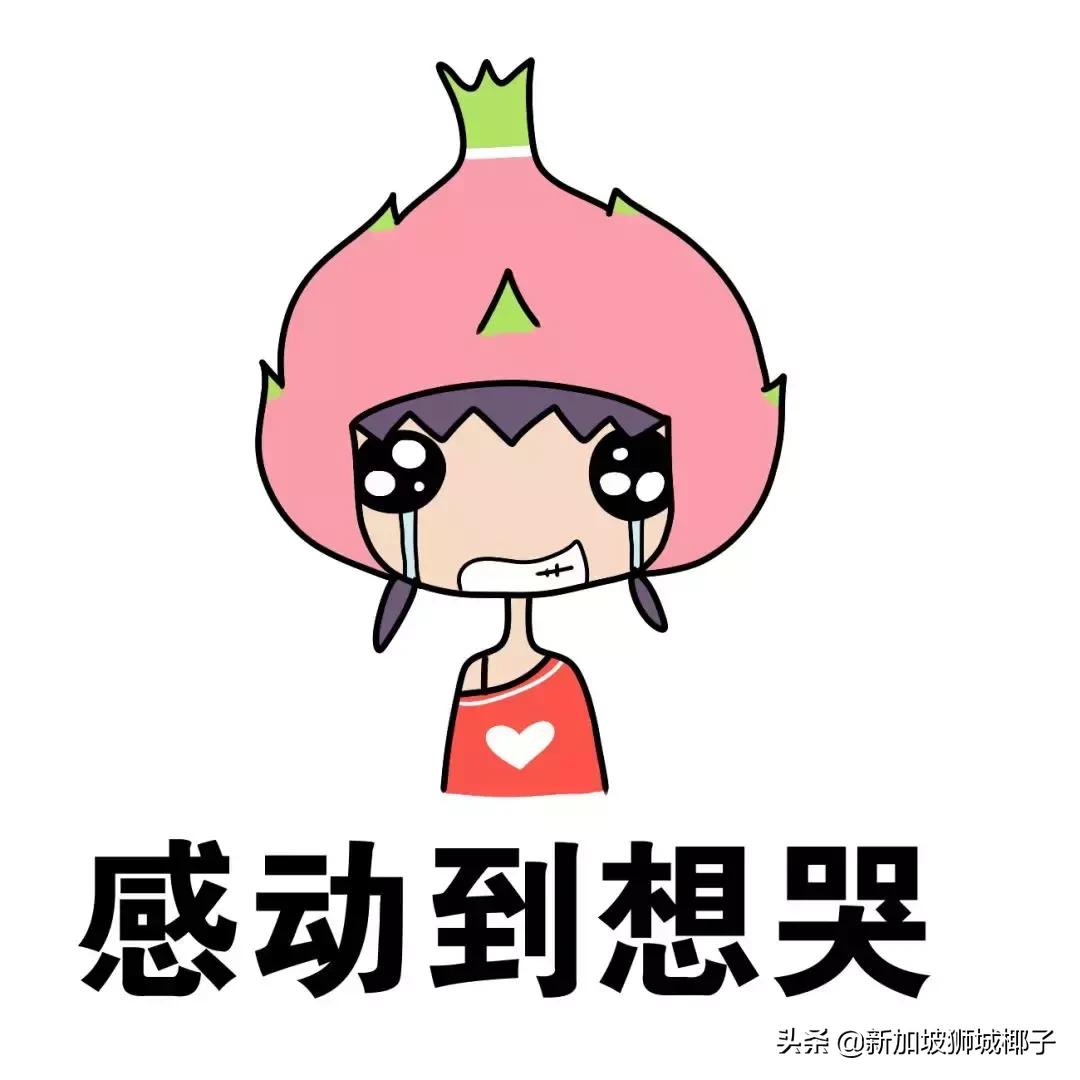 新加坡房产新政对市场的影响,新加坡购买新hdb条件