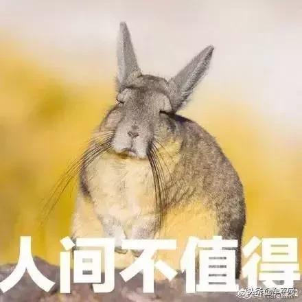 牟平区今天几点下雨,牟平明天天气与风力情况