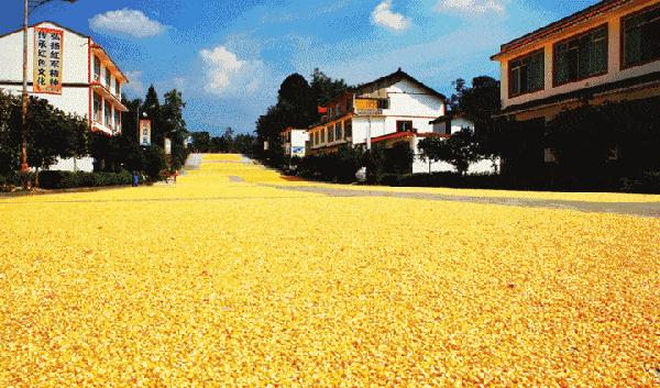 三农工作对乡村振兴的重大意义,三农工作中乡村振兴的前提是什么