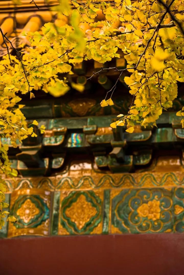 2020旅行时间表,2021年旅行时刻表出炉