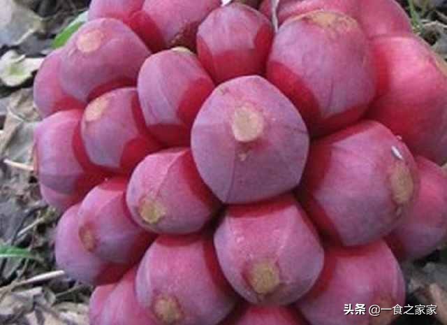 顶级水果排名前十名,顶级水果