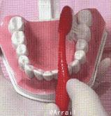 美白牙齿5个小窍门亮白牙齿,牙齿发黄不用愁教你一招美白牙齿