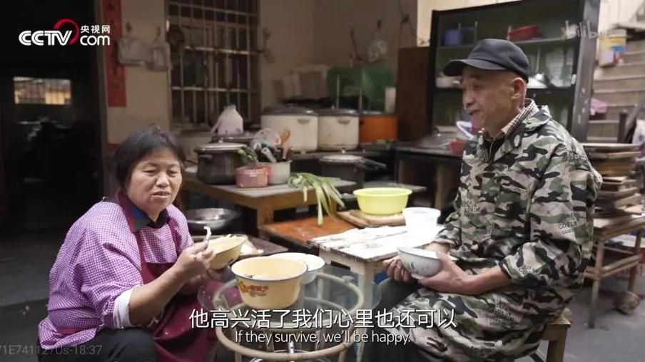 这对夫妻火了,最近上过热搜的一对夫妻