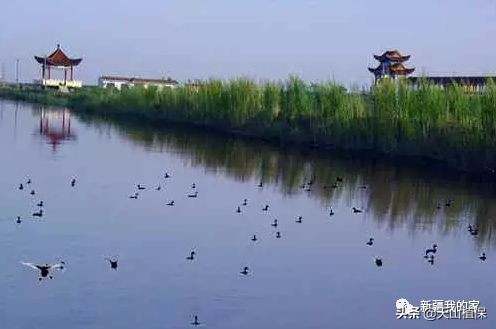 阿拉尔将成为南疆最大的城市,南疆阿拉尔市