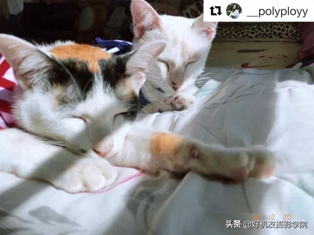 为什么拍胶片有质感,用什么拍出胶片感