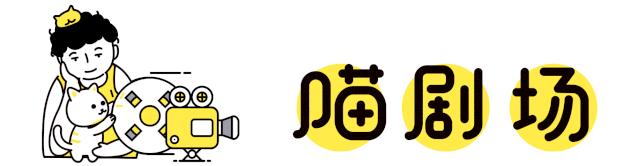 缅因猫看着很吓人但是很温柔,缅因猫真的有20万一只么