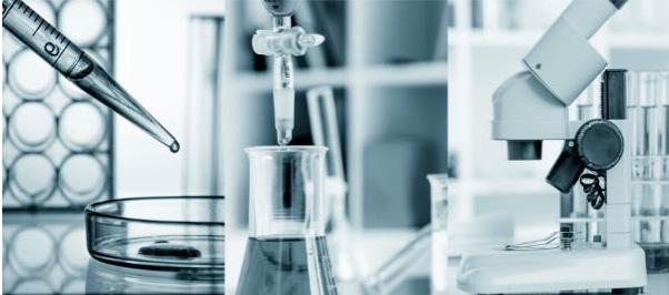 人没瘦钱包显瘦,人没瘦钱包先瘦