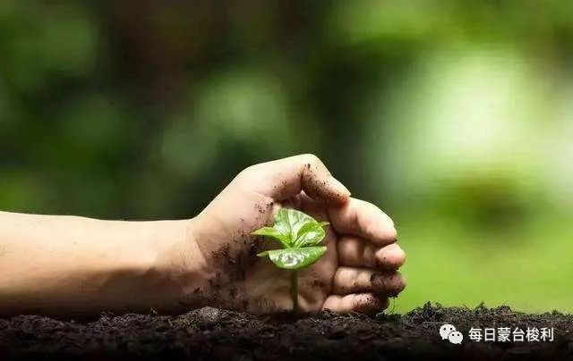 娃儿叛逆期怎么教育引导,蒙特梭利教育孩子情绪控制