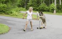 今年经典笑话,糗百经典笑话