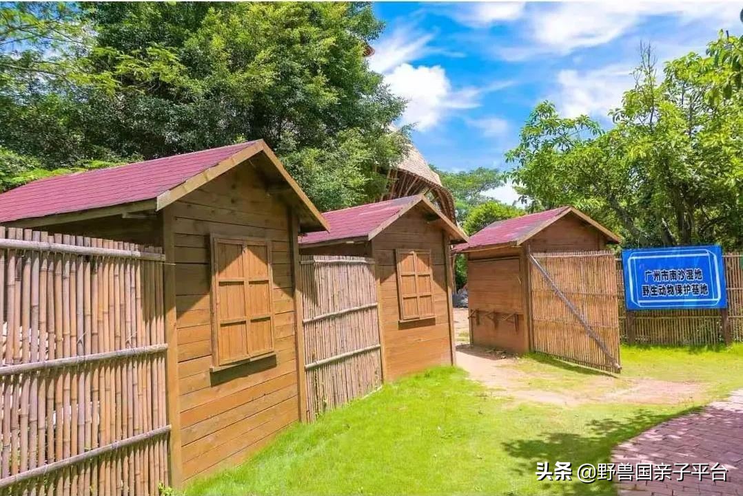 广州遛娃旅游推荐路线攻略,广州遛娃清单升级版