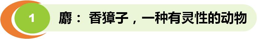 甄嬛传甄嬛的麝香,甄嬛传是谁给甄嬛下的麝香