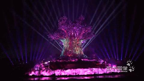 中秋国庆灯光秀节目单,国庆中秋灯光秀视频