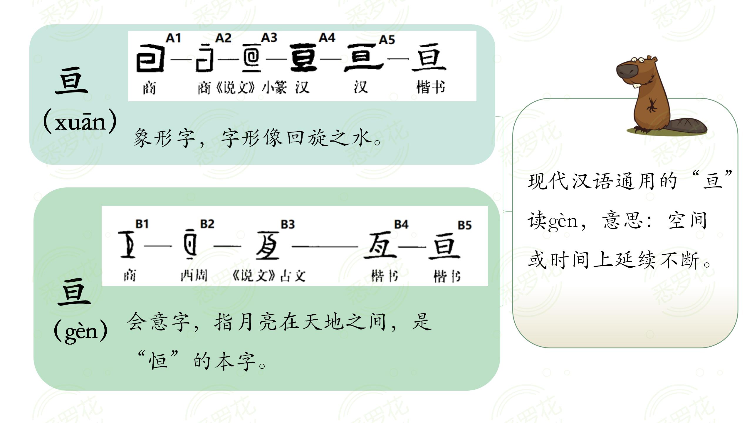 易写错的成语三年级,容易写错的成语视频