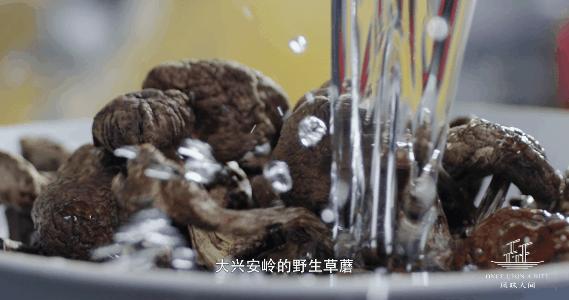 楦℃儏鍥涘皠闊╁紡鐐搁浮浼樻儬鍥㈣喘,楦℃儏鍥涘皠