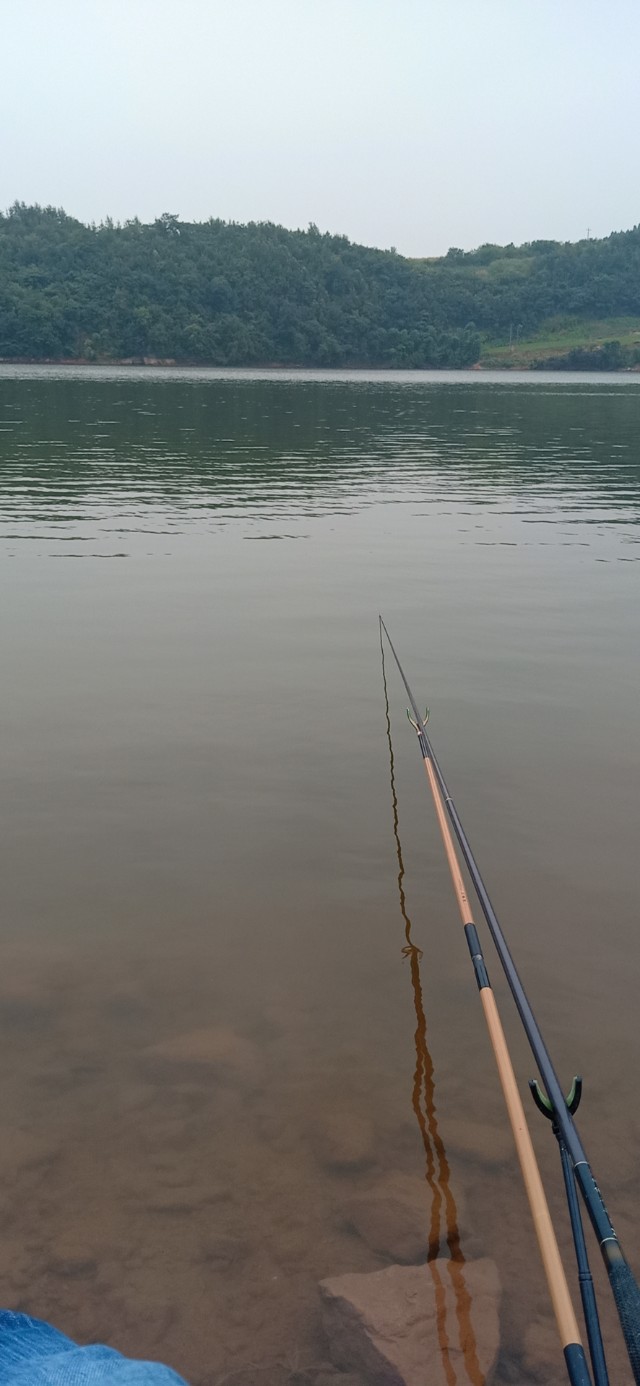 小爆炸钓鱼方法,冬天钓鱼小爆炸饵料配方视频