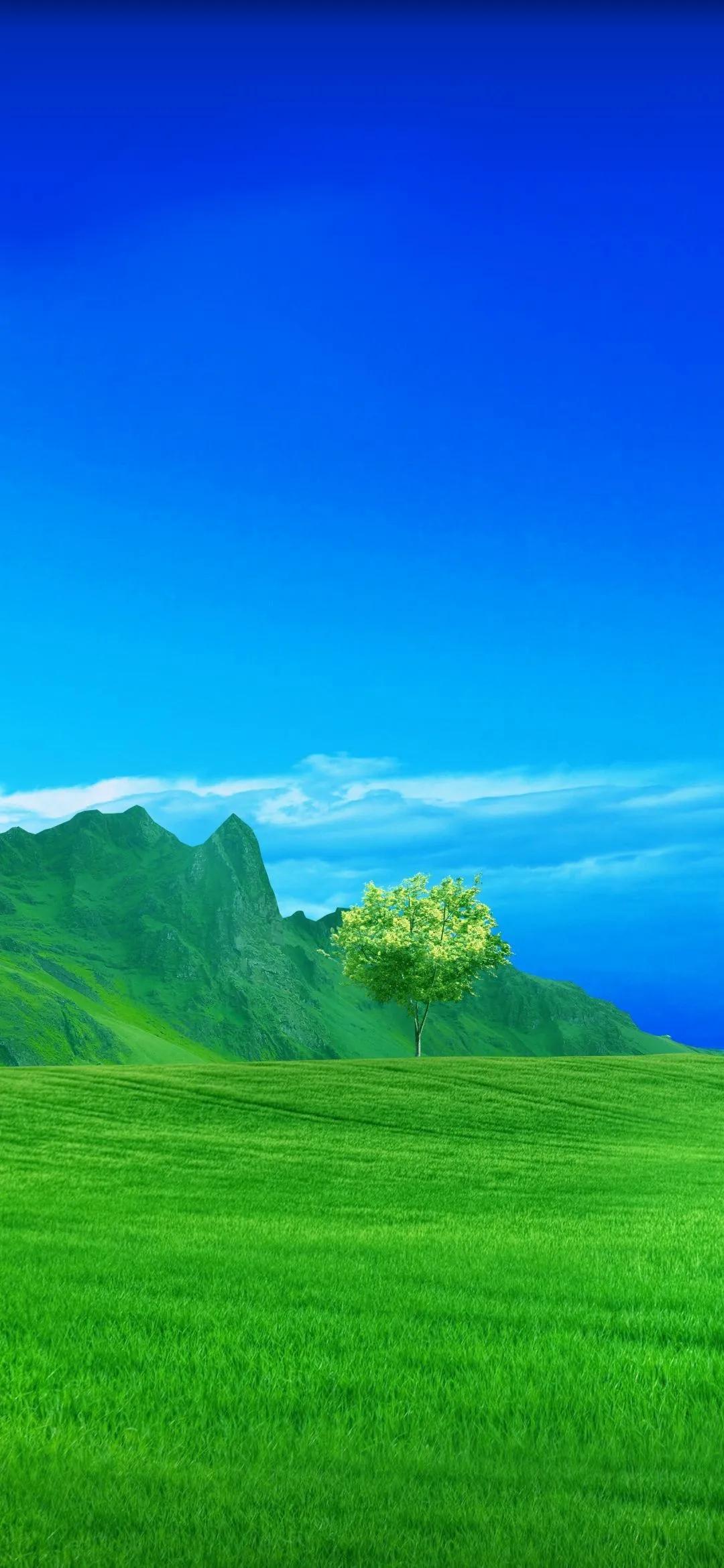 精美手机壁纸真是太美了,清晰到极致的手机壁纸图