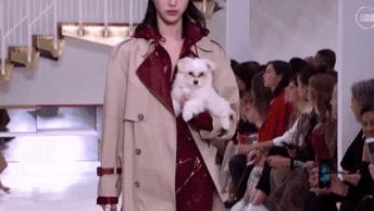 玛丝菲尔女装,玛丝菲尔女装适合哪一类女性