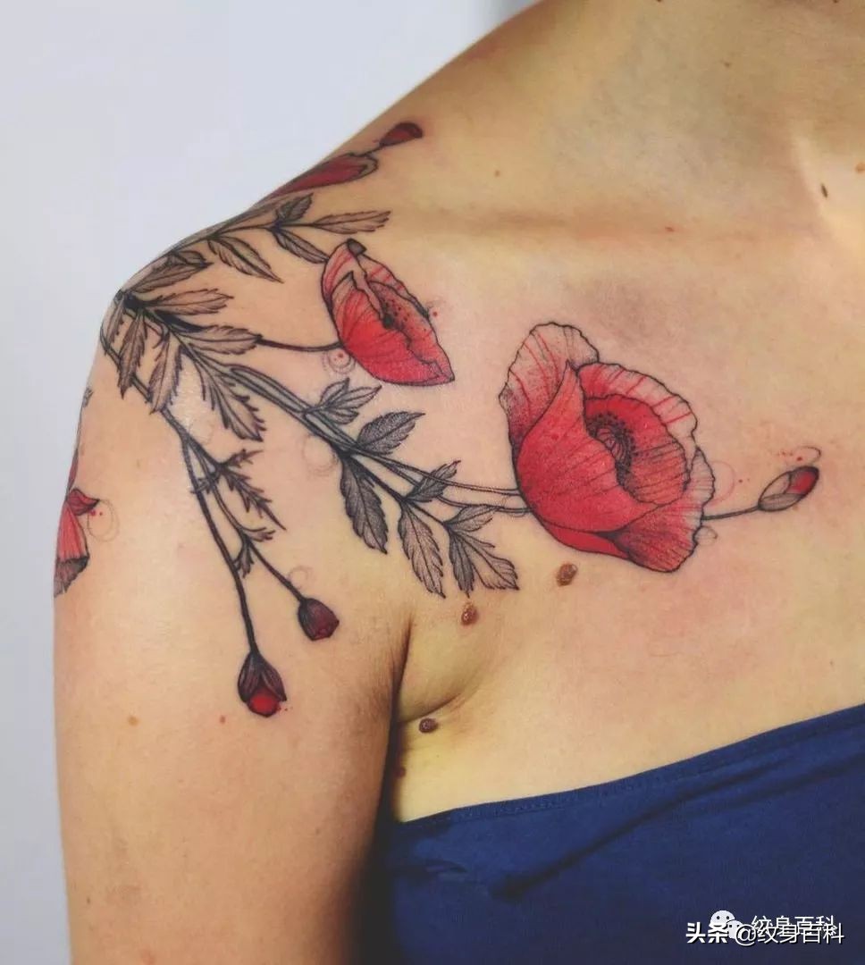 *粟罂**花纹身，致命的吸引~