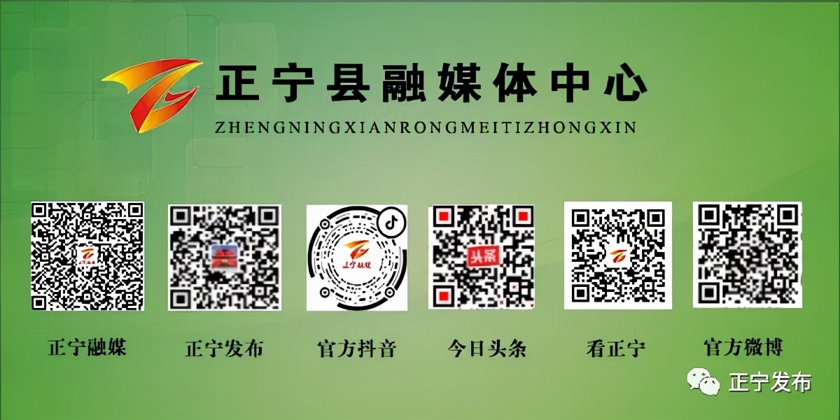 点石成金艺术展,点石成金比赛