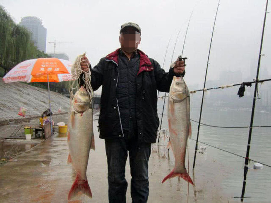 酸臭味鲢鳙饵料配方,翠花方块酸臭味鲢鳙饵料