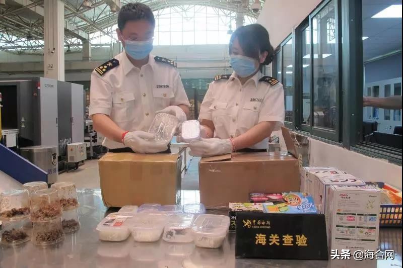 邮寄月饼进出境注意事项,月饼邮寄进入高峰期