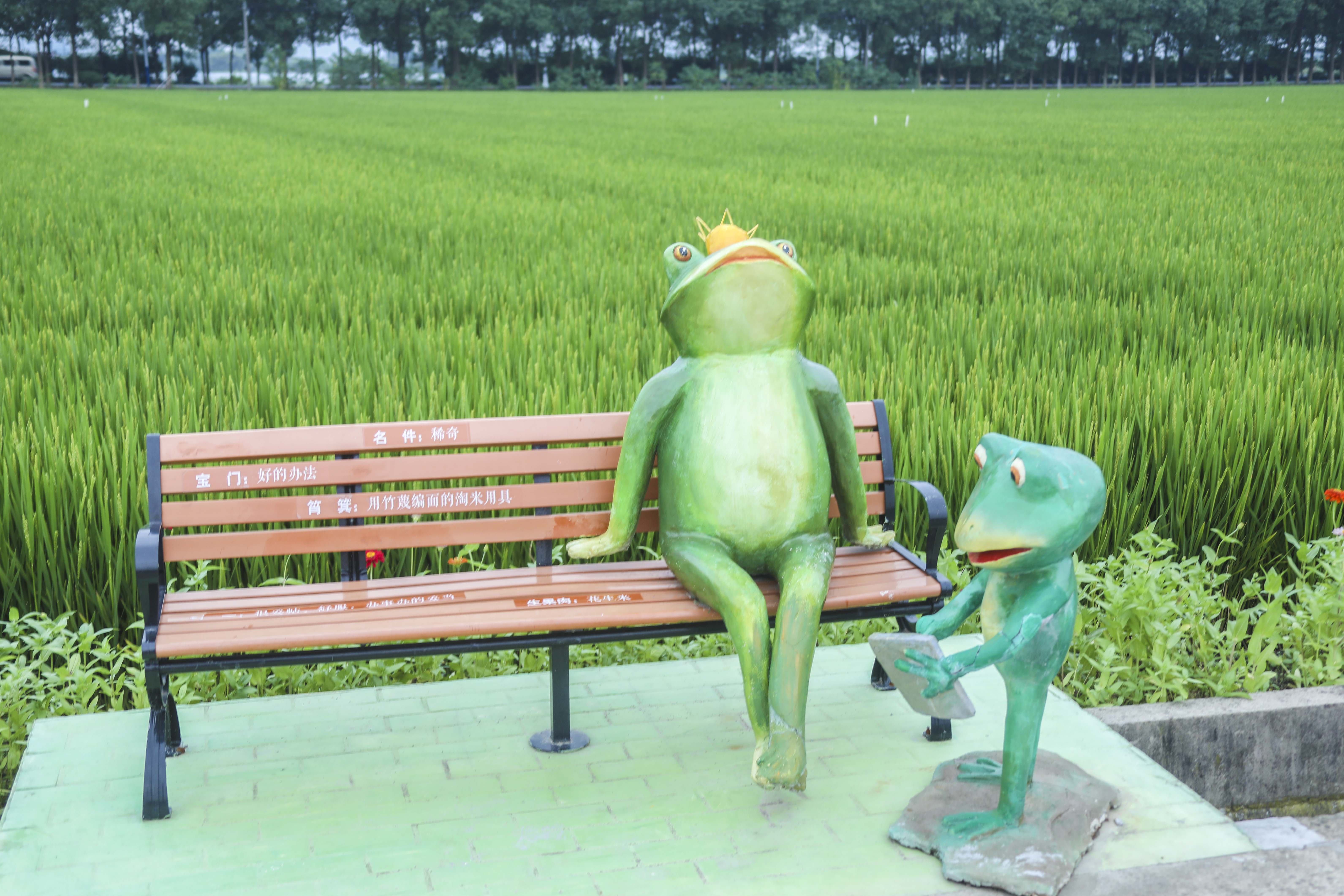 良田沃野蝶飞蜂拥，溧阳网红庆丰村的C位出道之路，果然迷人诱人