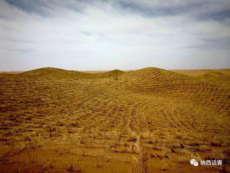 叶紫被雷劈穿越到异界,关于叶紫的穿越小说