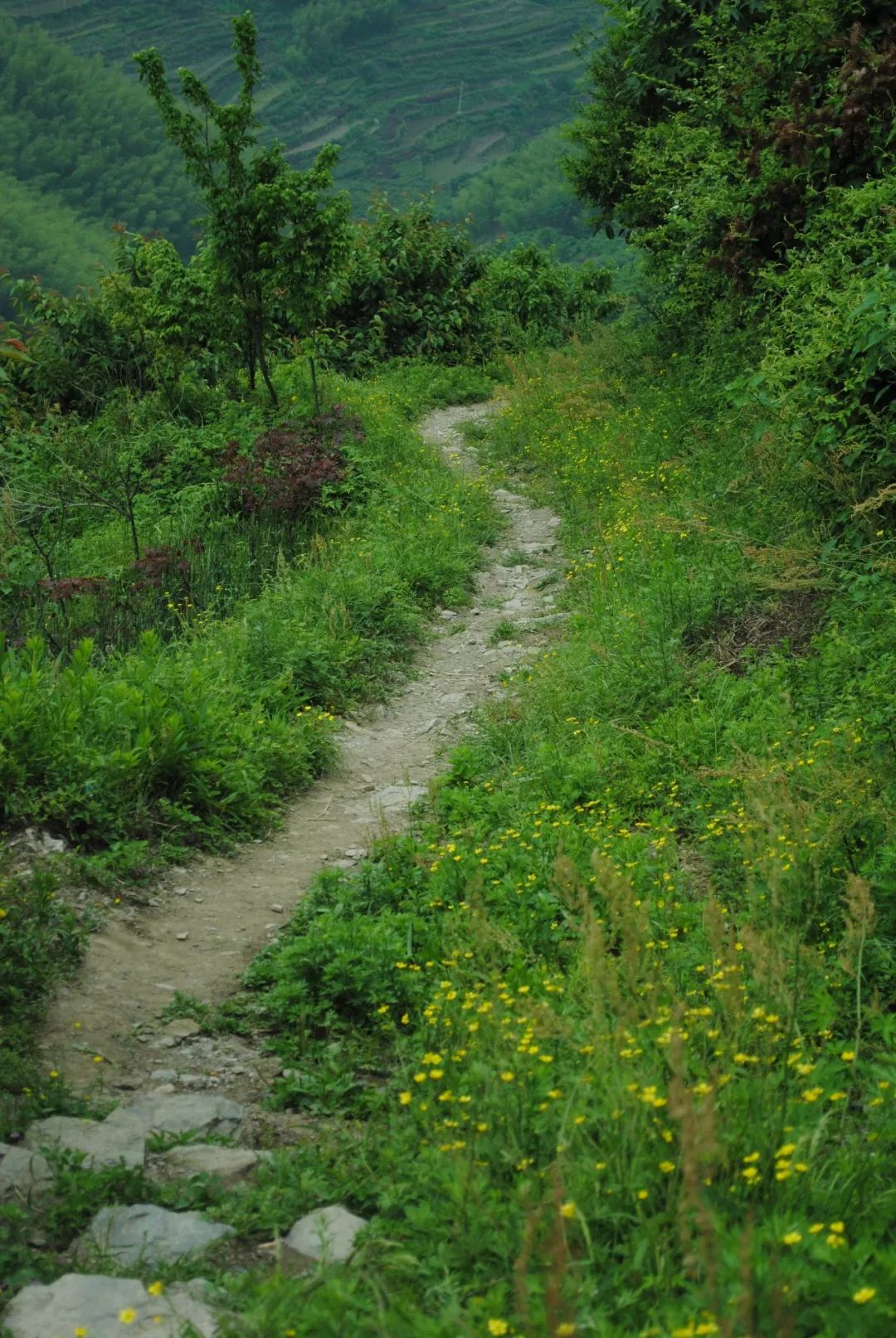 宁波踏青必去十大景点,宁波踏青景点介绍视频