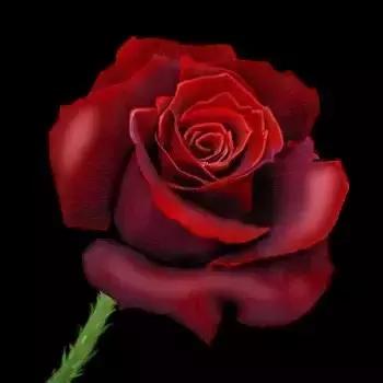 520情人节祝福送上真的太美了,最新的520情人节