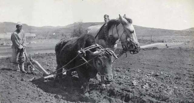 闲着也是一种福气,闲着也是一种压力