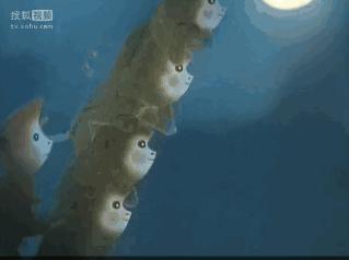 陪伴我们长大的十大动画,盘点十部童年最好看的动画