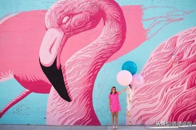 小黑瓶小棕瓶绿宝瓶怎么选,小黑瓶与小棕瓶怎么选择