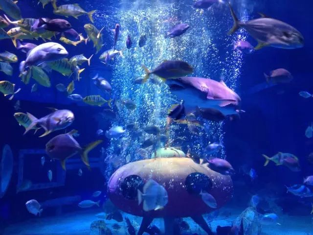 旅游哈尔滨的攻略路线怎么走,游玩路线哈尔滨