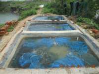 开渔场赚钱吗,开渔场需要多少资金