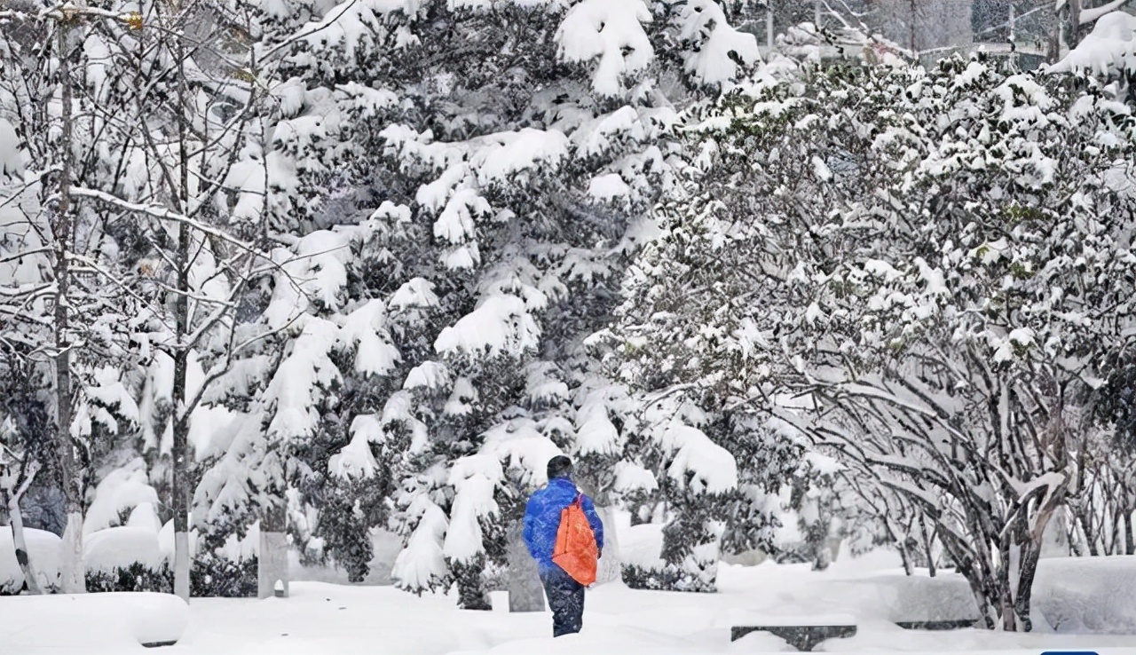 肾病降肌酐的偏方,慢性肾衰肌酐500中药良方