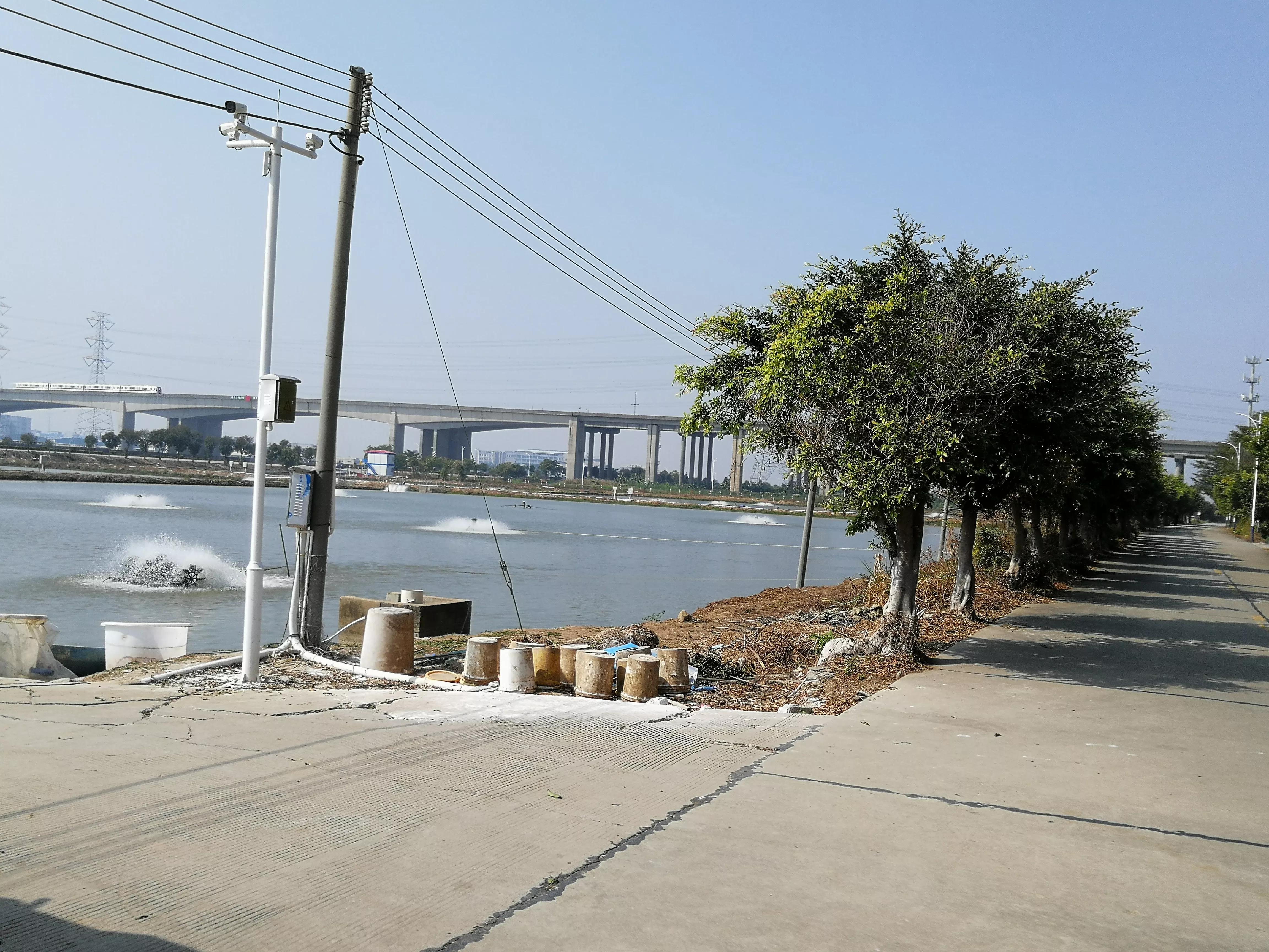 地铁4号线美丽乡村东涌,地铁4号线沿路风景