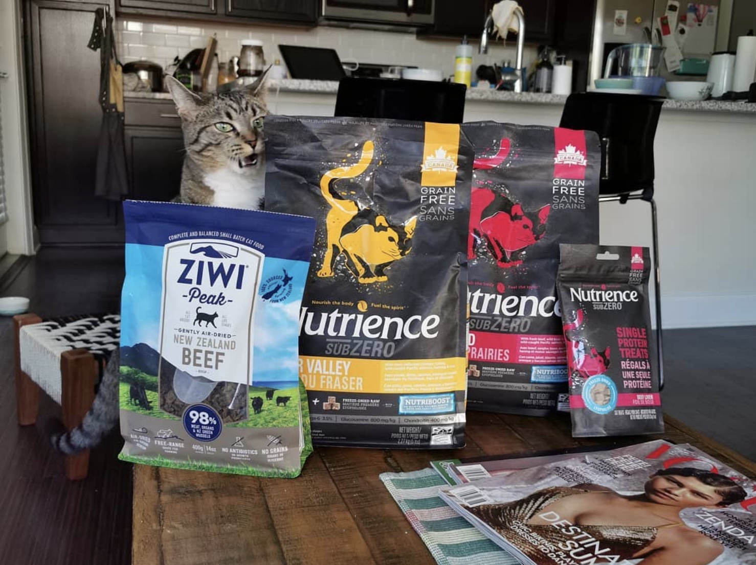 给猫咪吃哪种猫粮好点,猫咪应该吃哪种猫粮比较好