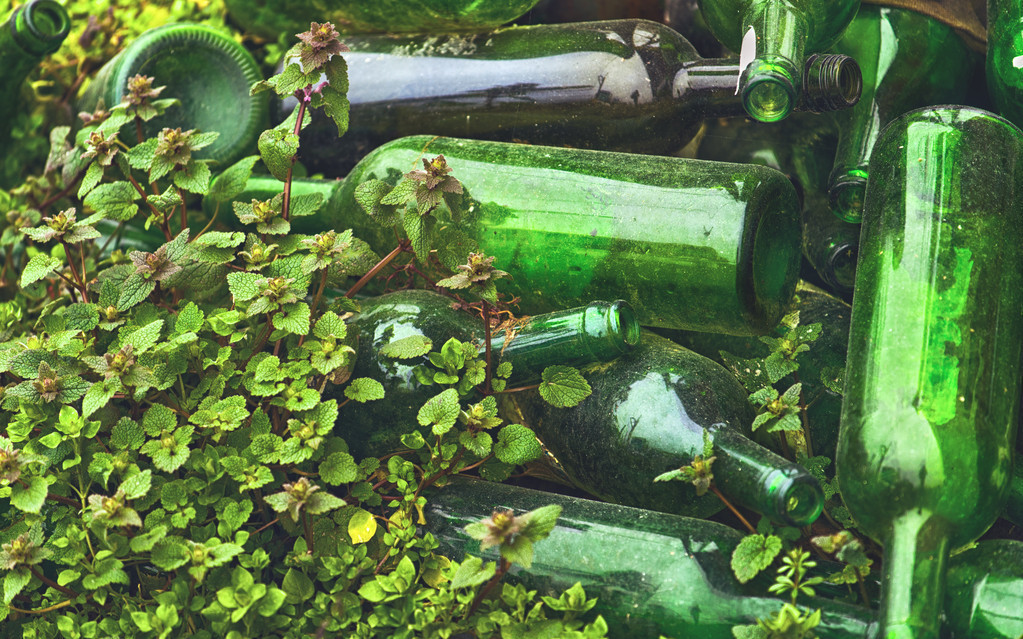 农村庄稼地防鸟的妙招教程,酒瓶防鸟最好的方法