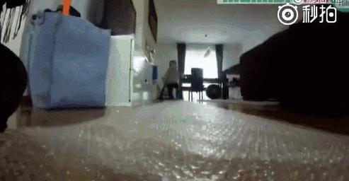 幼儿园对抗新型冠状病毒亲子游戏,预防新型冠状病毒的体能游戏