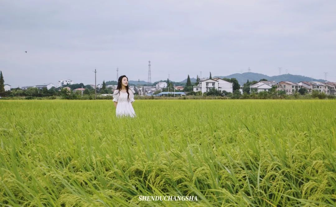 长沙旅游攻略必去的十大景点推荐,长沙旅游攻略必去十大景点免费