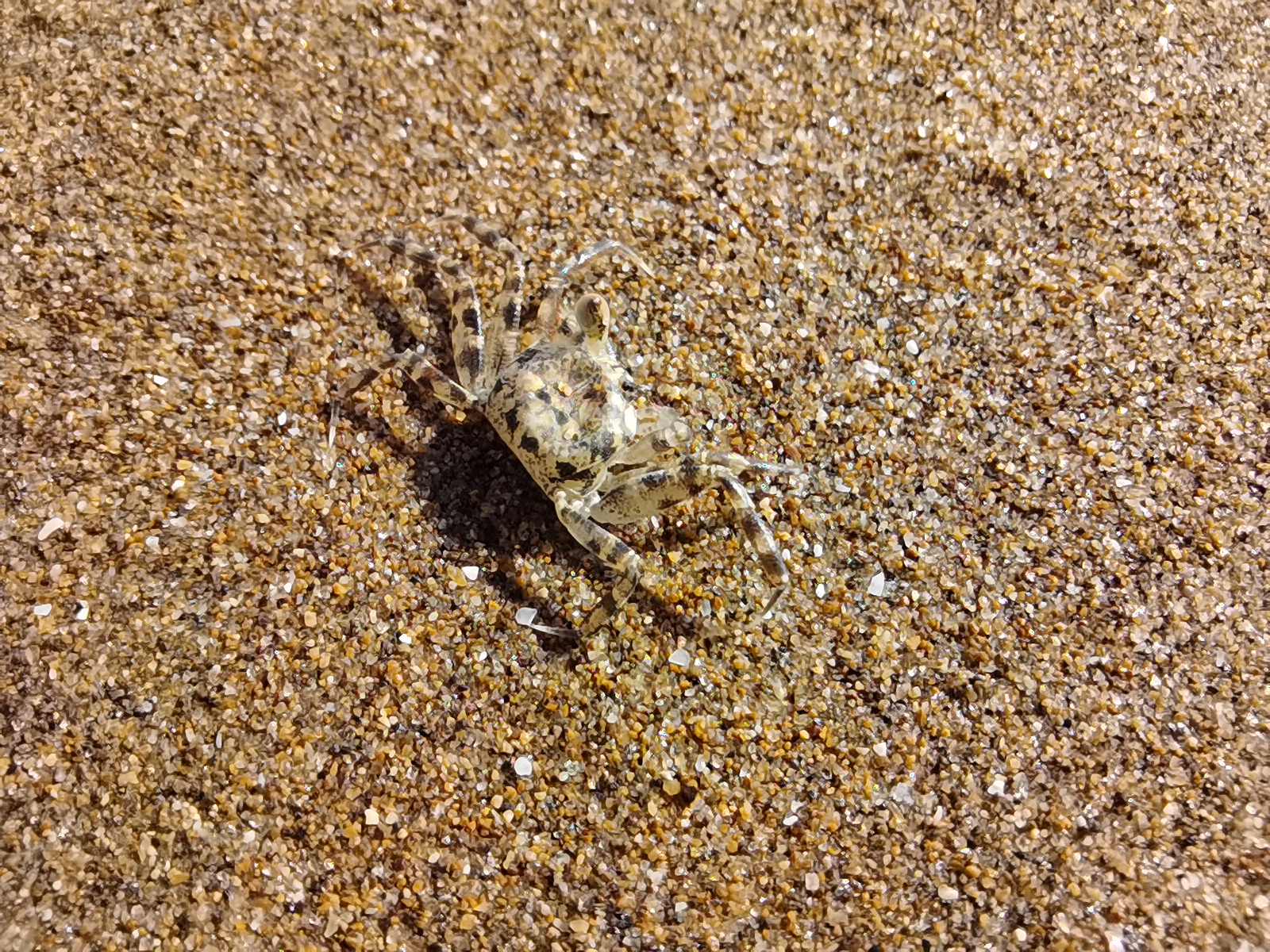 房车自驾游象山攻略,象山南田岛自驾游攻略