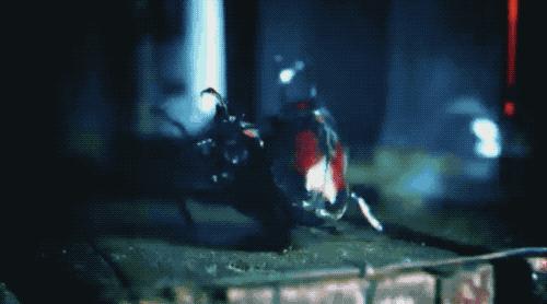 疫情期间12岁小学生做出颠覆常识的发现，以一作身份发了论文