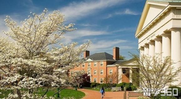 名字看起来很高大上的野鸡大学,听着高端但是野鸡的大学